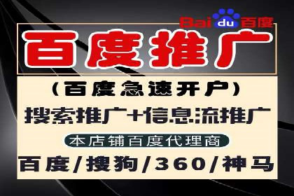 SEM搜索引擎优化：成功案例解析